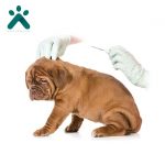 میکرو چیپ دامپزشکی