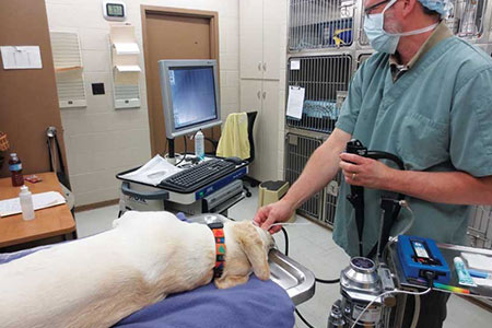 آندوسکوپی دستگاه تنفسی